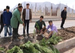 کاشت نهال در محل جدید آموزشکده به مناسبت روز درختکاری 2