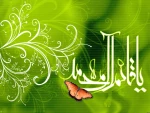ولادت با سعادت حضرت مهدی (عج) بر همگان مبارک باد 2