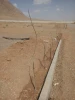 مراسم درختکاری در ساختمان جدید آموزشکده 4