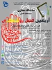 اربعین فصل روشنگری 2
