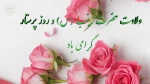 ولادت حضرت زینب (س)وروزپرستار گرامی باد. 2